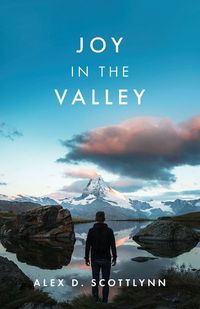 Produktbild: Joy in the Valley
