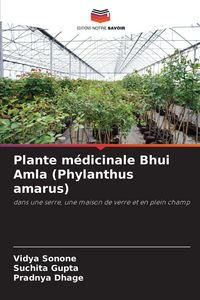 Produktbild: Plante m&eacute;dicinale Bhui Amla (Phylanthus amarus)