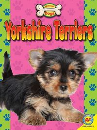 Produktbild: Yorkshire Terriers