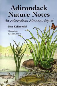 Produktbild: Adirondack Nature Notes