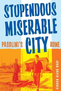 Produktbild: Stupendous, Miserable City