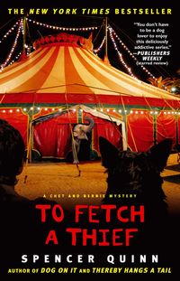 Produktbild: To Fetch a Thief