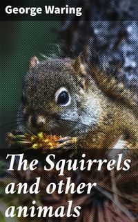 Produktbild: The Squirrels and other animals