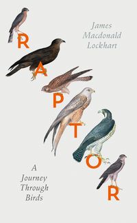 Produktbild: RAPTOR HB