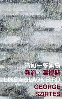 Produktbild: Like a Black Bird