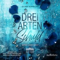Produktbild: Drei Arten Schuld