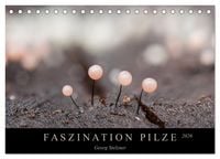 Produktbild: FASZINATION PILZE 2026 (Tischkalender 2026 DIN A5 quer), CALVENDO Monatskalender