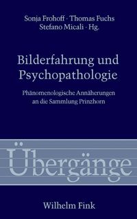 Produktbild: Bilderfahrung und Psychopathologie