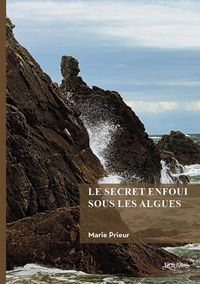 Produktbild: Le secret enfoui sous les algues