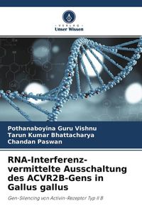 Produktbild: RNA-Interferenz-vermittelte Ausschaltung des ACVR2B-Gens in Gallus gallus