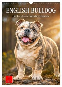 Produktbild: English Bulldog - F&uuml;r Liebhaber britischer Originale (Wandkalender 2027 DIN A3 hoch), CALVENDO Monatskalender