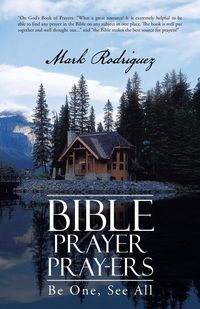 Produktbild: Bible Prayer Pray-Ers