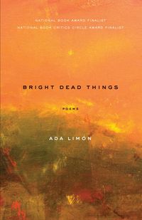Produktbild: Bright Dead Things