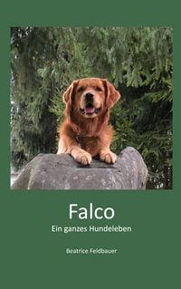 Produktbild: Falco