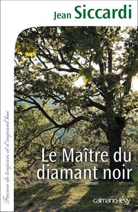 Produktbild: Le Ma&icirc;tre du diamant noir