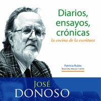 Produktbild: Diarios, ensayos, cr&oacute;nicas: la cocina de la escritura