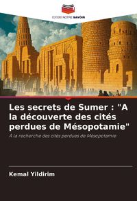 Produktbild: Les secrets de Sumer : "A la d&eacute;couverte des cit&eacute;s perdues de M&eacute;sopotamie"