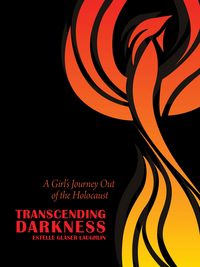 Produktbild: Transcending Darkness