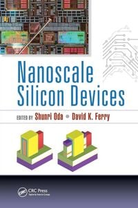 Produktbild: Nanoscale Silicon Devices