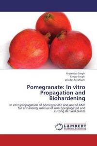 Produktbild: Singh, N: Pomegranate: In vitro Propagation and Biohardening