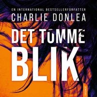 Produktbild: Det tomme blik
