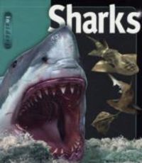 Produktbild: McMillan, B: Sharks
