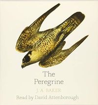Produktbild: Baker, J: The Peregrine