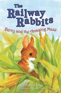 Produktbild: Berry and the Amazing Maze