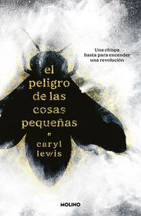 Produktbild: El Peligro de Las Cosas Peque&ntilde;as / The Danger of Small Things
