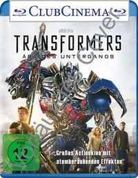 Bild vom Artikel Transformers 4 - Ära des Untergangs vom Autor Mark Wahlberg