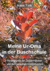 Produktbild: Meine Ur-Oma in der Buschschule