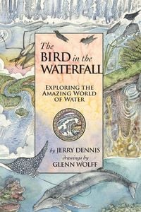 Produktbild: The Bird in the Waterfall