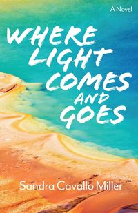 Produktbild: Where Light Comes and Goes
