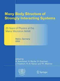 Produktbild: Many Body Structure of Strongly Interacting Systems