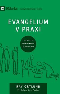 Produktbild: The Gospel / Evangelium v praxi
