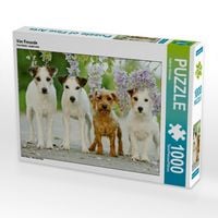 Produktbild: CALVENDO Puzzle Vier Freunde 1000 Teile Puzzle quer | 1000 Teile Lege-Gr&ouml;&szlig;e 64 &times; 48 cm Foto-Puzzle f&uuml;r gl&uuml;ckliche Stunden