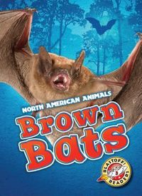 Produktbild: Brown Bats