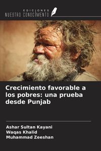 Produktbild: Crecimiento favorable a los pobres: una prueba desde Punjab