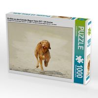 Produktbild: CALVENDO Puzzle Ein Bild aus dem Kalender Magyar Vizsla 2017 / UK-Version | 1000 Teile Lege-Gr&ouml;&szlig;e 64x48cm Foto-Puzzle f&uuml;r gl&uuml;ckliche Stunden