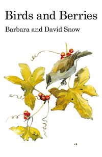 Produktbild: Birds and Berries