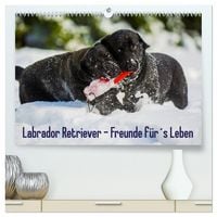 Produktbild: Labrador Retriever - Freunde f&uuml;r&acute;s Leben (hochwertiger Premium Wandkalender 2026 DIN A2 quer), Kunstdruck in Hochglanz