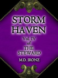 Produktbild: Storm Haven (THE STEWARD, #4)