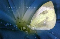 Produktbild: Flying Flowers