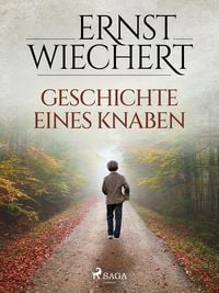Produktbild: Geschichte eines Knaben