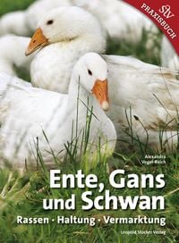 Bild vom Artikel Ente, Gans und Schwan vom Autor 