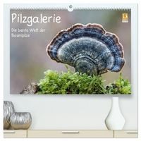 Produktbild: Pilzgalerie - Die bunte Welt der Baumpilze (hochwertiger Premium Wandkalender 2026 DIN A2 quer), Kunstdruck in Hochglanz