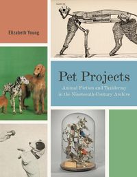 Produktbild: Young, E: Pet Projects