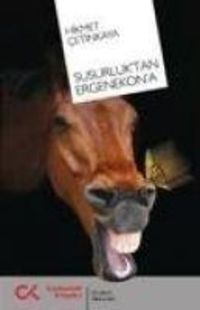 Produktbild: Susurluktan Ergenekona