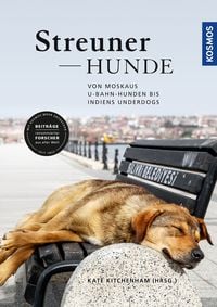 Produktbild: Streunerhunde