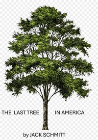 Produktbild: The Last Tree in America